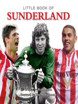 cover image of Little Book of Sunderland